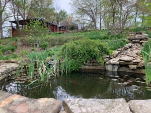 view from the edge of a lily pond uphill toward a red house in the woods