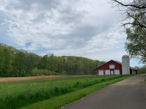 Summer day, trees and field are green, there's a red barn with a white silo on the right of the picture