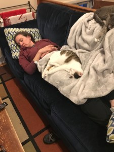 Woman asleep on a blue couch. There's a white cat in her lap and a grey cat with a paw outstretched on the back of the couch