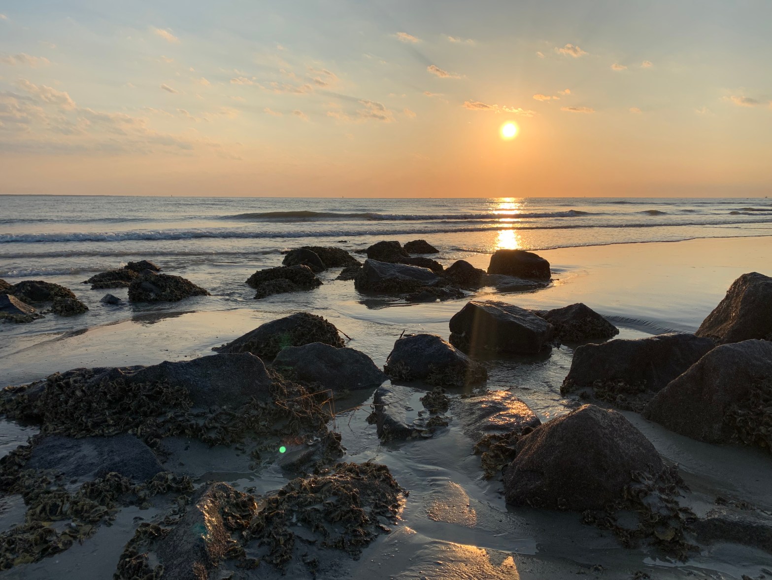 a beach with large boulders in the foreground, a yellow sun rising in the distance. There are light clouds in the sky.