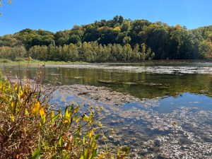 A small, shallow lake with a hill in the background. The leaves are green, the sky is blue.