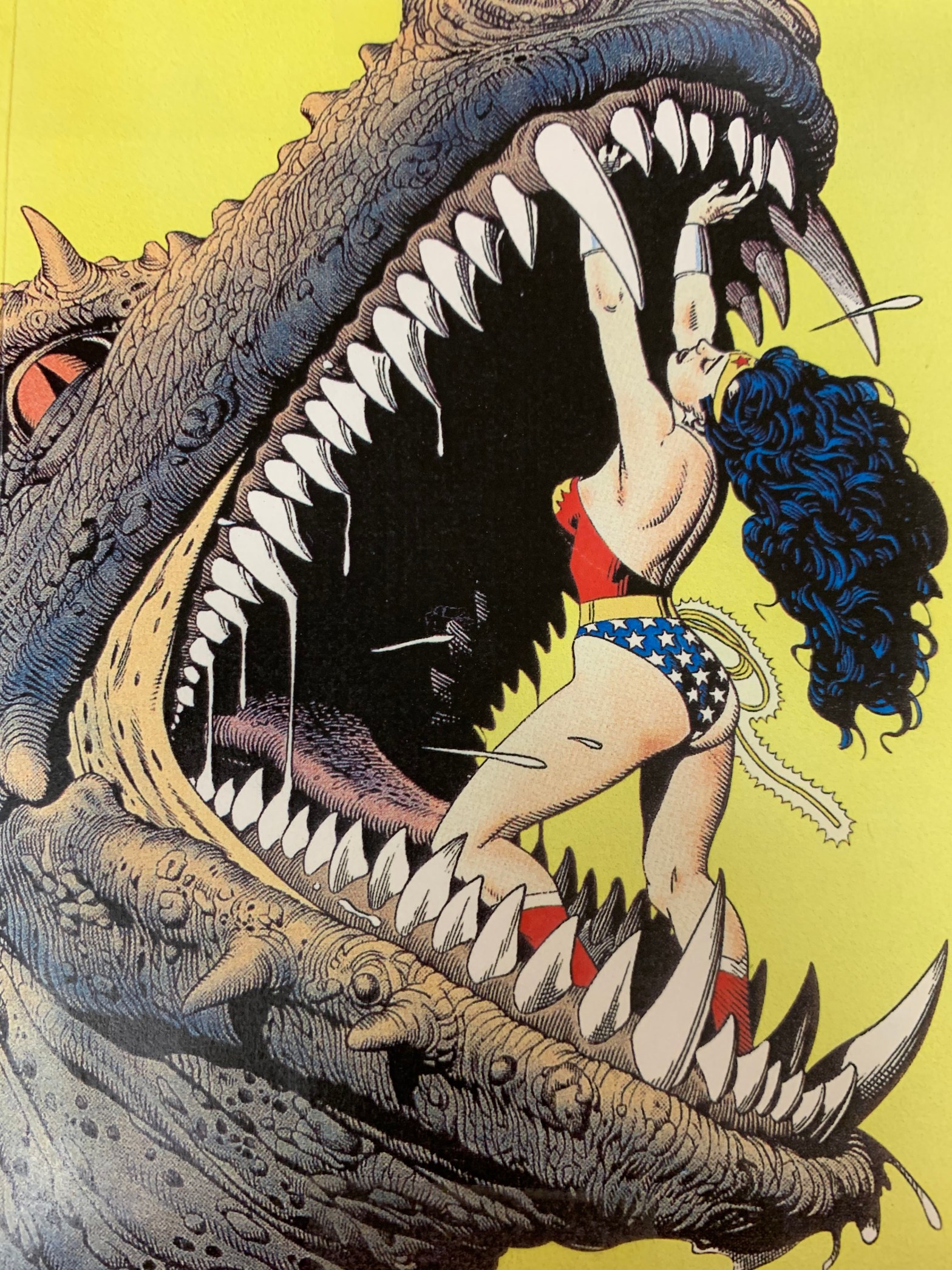 Wonder Woman is holding open the jaws of a gigantic toothy reptile. I'm sure the reptile has a name in the comic books.