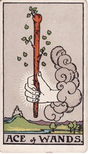 The ace of wands card. A hand comes out of the clouds holding a branch with leaves on it.