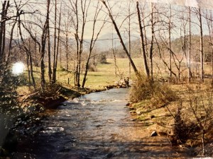 A picture of a stream surrounded by young trees. There is farmland in the background as well as rolling mountains in the distance. It's a sunny day. The picture is slightly yellowed.